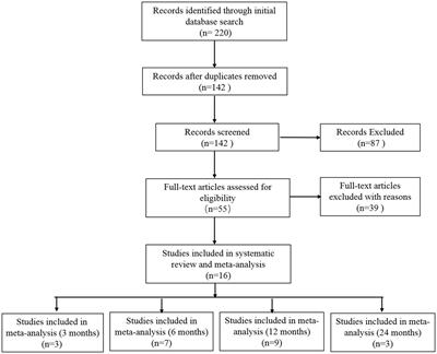 Vagus nerve stimulation for the therapy of Dravet syndrome: a systematic review and meta-analysis